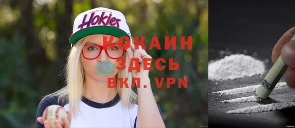 дживик Абаза