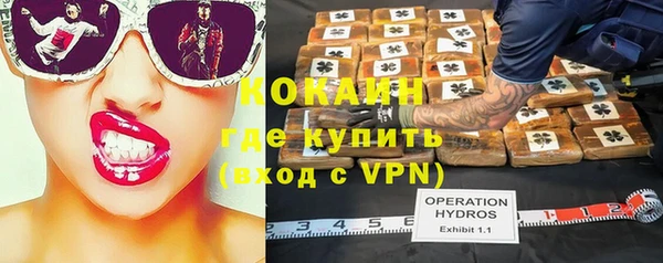 гашик Алексеевка