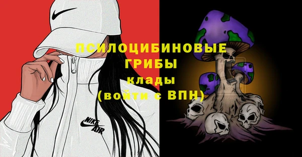 тгк Абинск