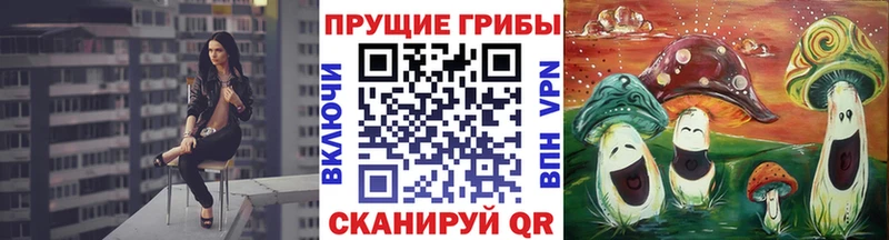 Псилоцибиновые грибы прущие грибы  Ивангород 